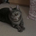 Smokey 2