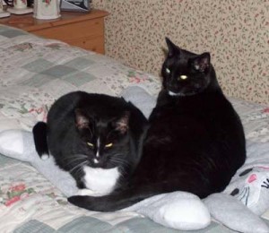 Tasha and Lucy
